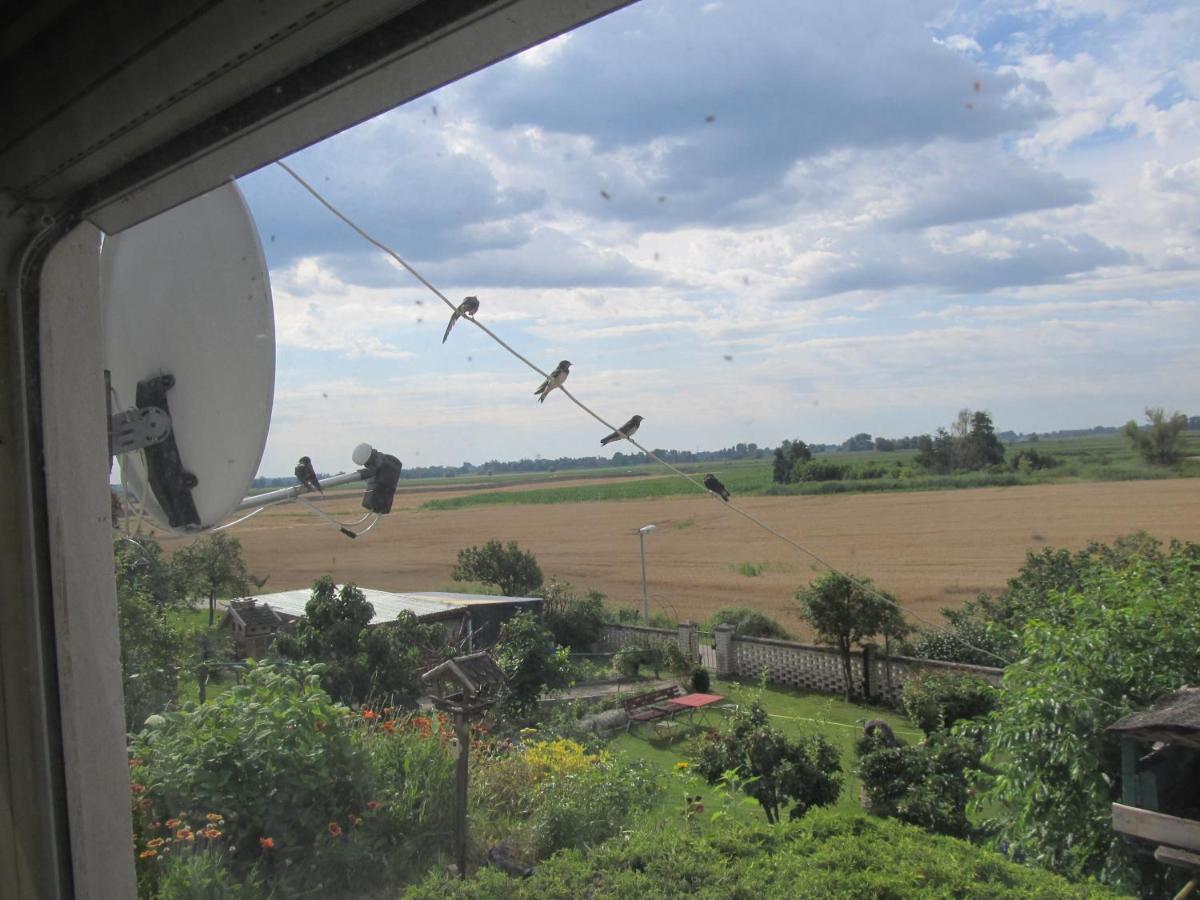 Zum Wiesengrund Im Oderbruch Altglietzen Bagian luar foto