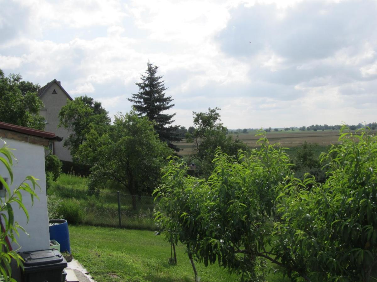 Zum Wiesengrund Im Oderbruch Altglietzen Bagian luar foto