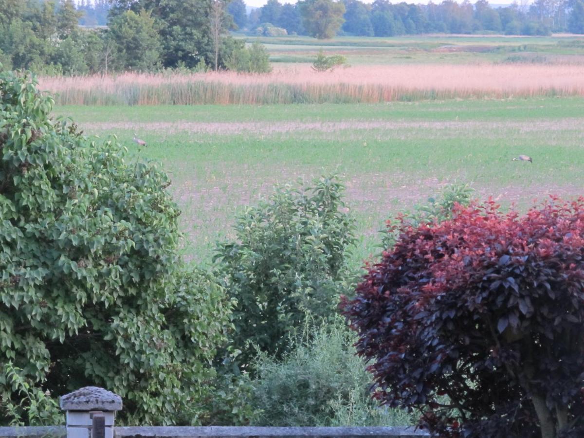Zum Wiesengrund Im Oderbruch Altglietzen Bagian luar foto
