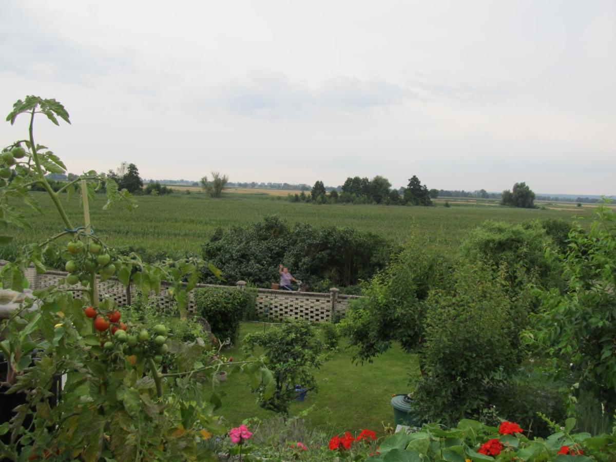 Zum Wiesengrund Im Oderbruch Altglietzen Bagian luar foto