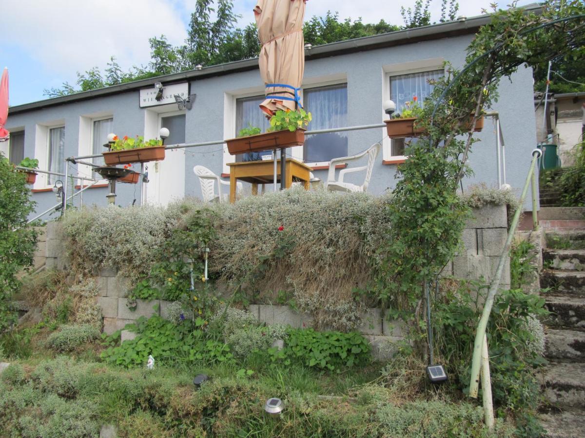 Zum Wiesengrund Im Oderbruch Altglietzen Bagian luar foto