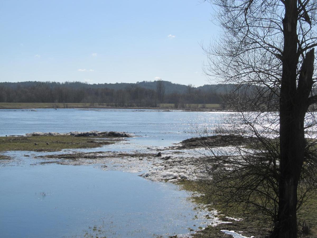 Zum Wiesengrund Im Oderbruch Altglietzen Bagian luar foto
